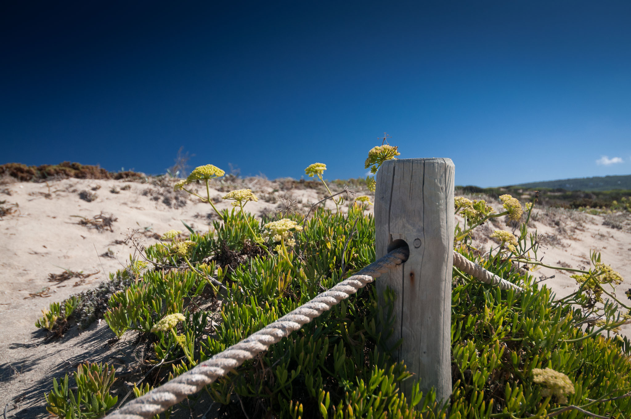 an der Playa Migjorn