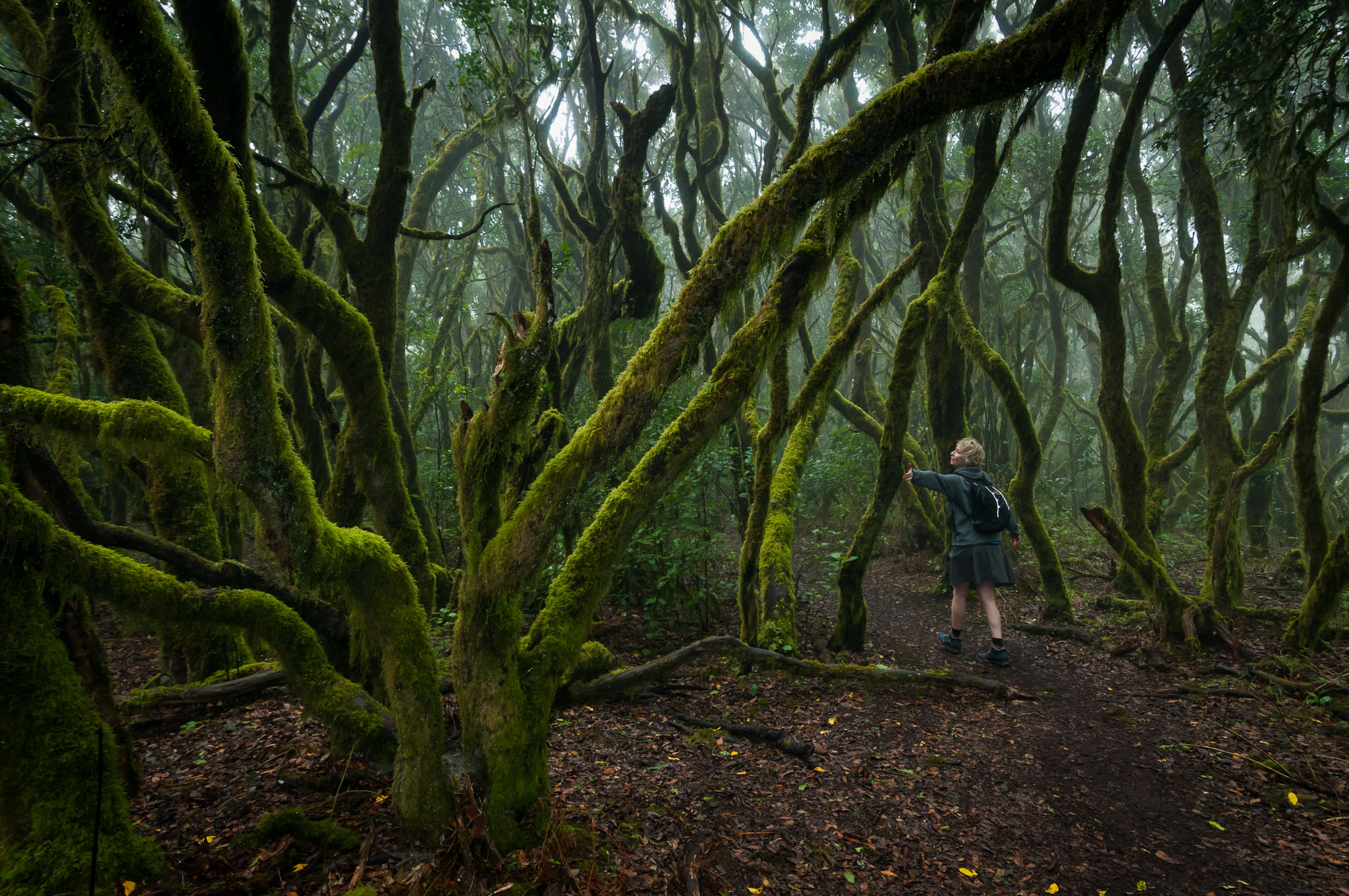2017 - La Gomera, Spanien