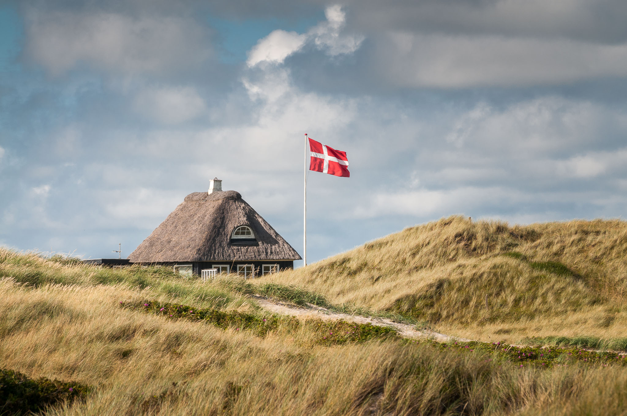 2020 - Dänemark + Niederlande