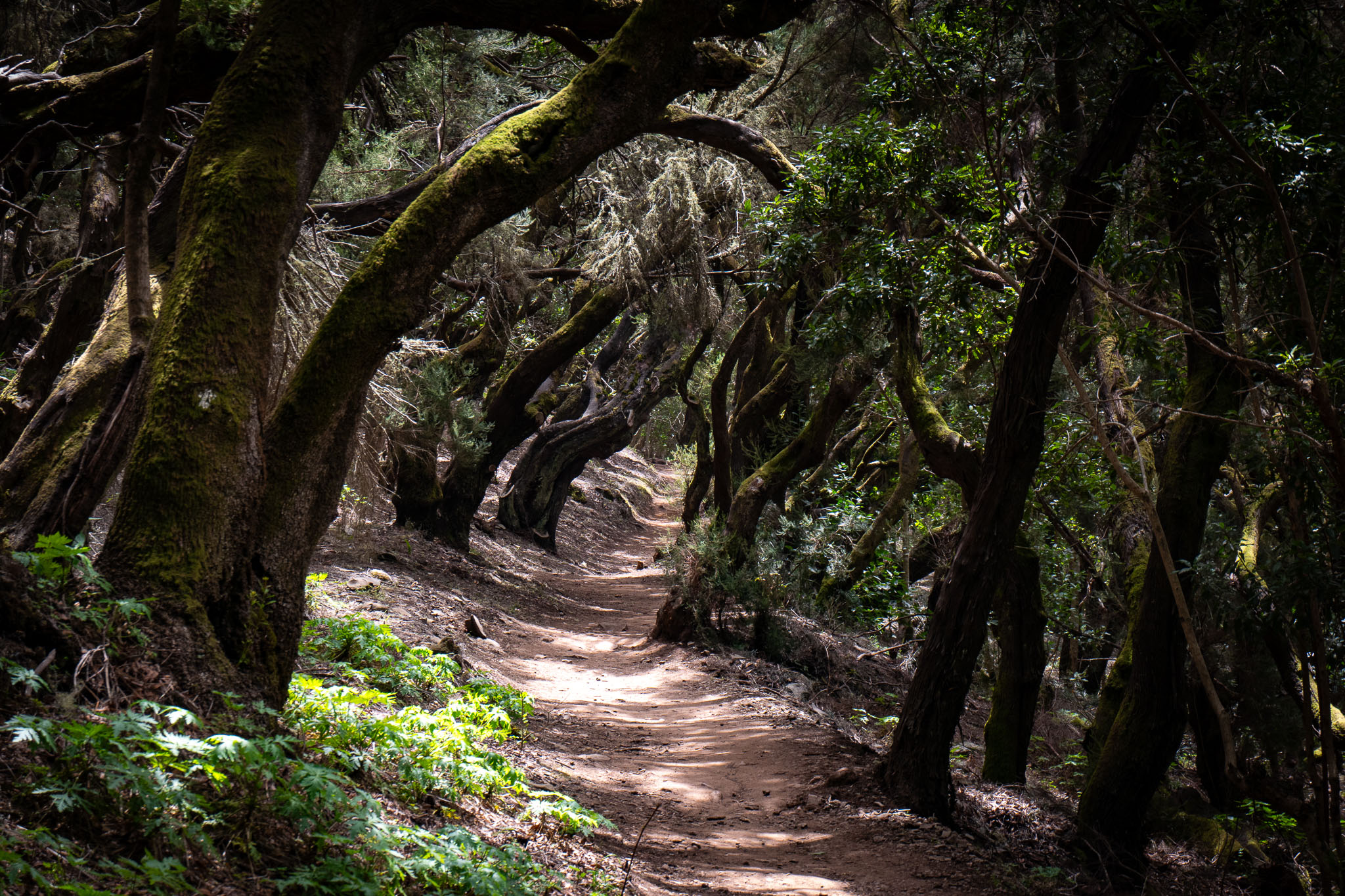 2024 - La Gomera, Spanien